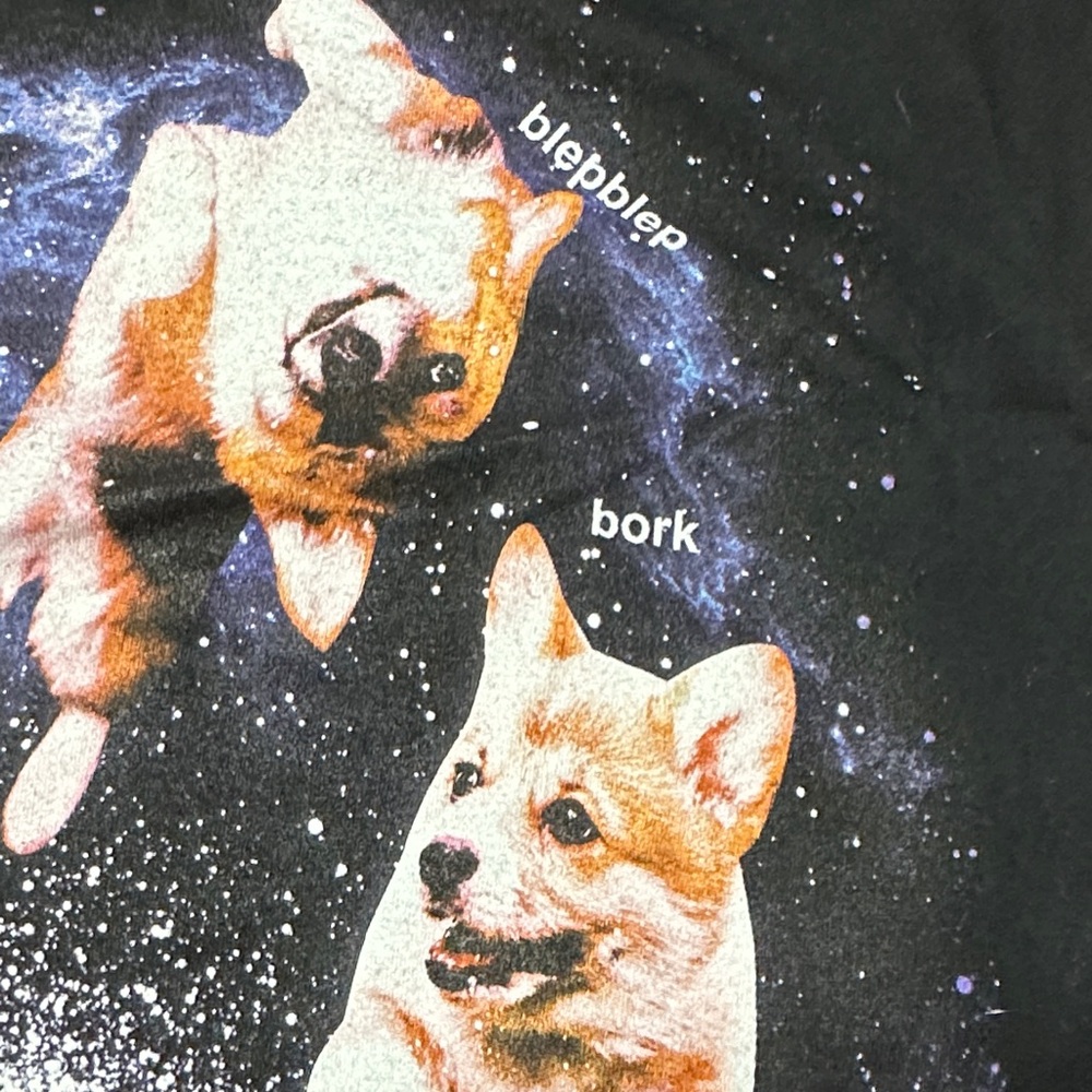 Black Matter Black Tee with Corgi Galaxy Print - Picture 6 of 7